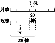 16S精版答案15.eps